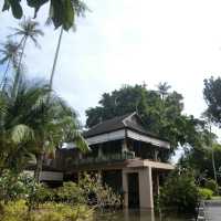 🪷荷花池中的泰日fusion樹屋餐廳🌳 