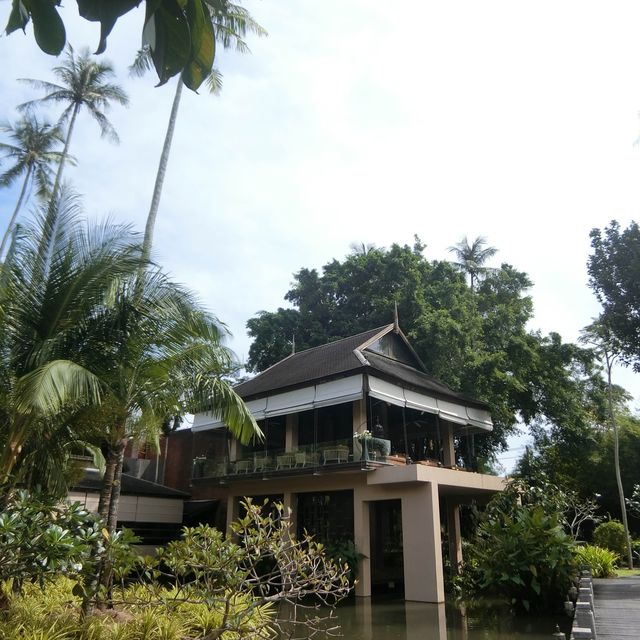 🪷荷花池中的泰日fusion樹屋餐廳🌳 