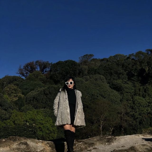 ดอยอินทนนท์⛰️🍃