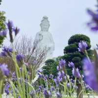 慈山寺｜靜化人心