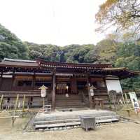 走進時光隧道——秋日遊宇治神社