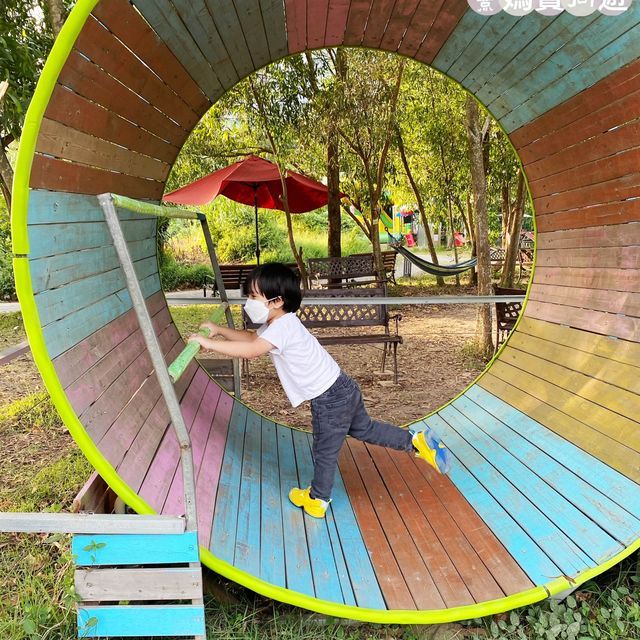 探索蝶豆花園