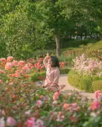 5월, 서울 장미는 무조건 여기서 즐기세요!