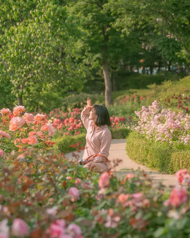 5월, 서울 장미는 무조건 여기서 즐기세요!