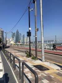 부산 광안리해수욕장