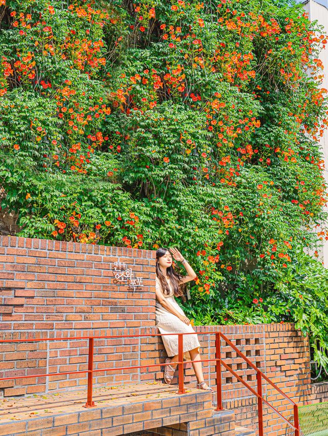 🌿5월 꼭 가봐야할 대구•경주 여행지🌸