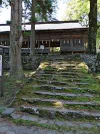 【諏訪大社】御柱祭の御神木は裏側を含めて圧巻