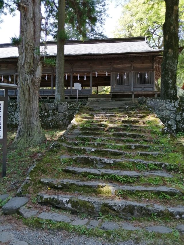 【諏訪大社】御柱祭の御神木は裏側を含めて圧巻