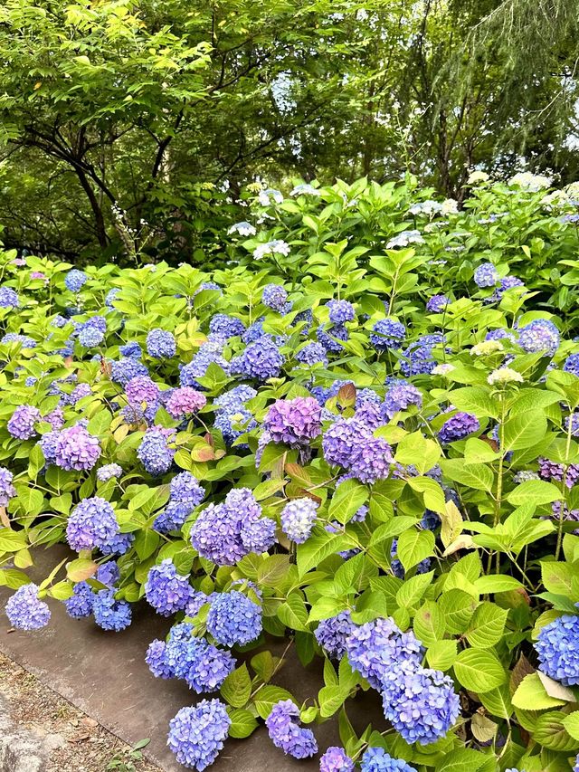 鶴舞公園