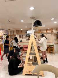 〖 韓国・明洞〗明洞の猫カフェが復活‼︎🐈　時間無制限でゆっくり過ごせます🙌🏻