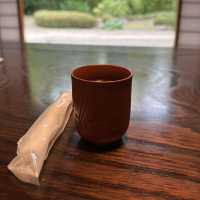 Dainochaya