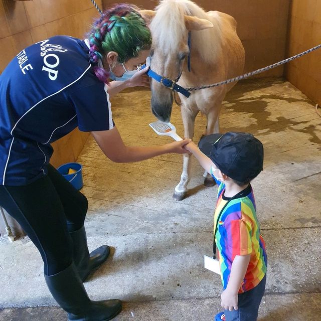 Fun With Horses At Gallop Stable 🐴