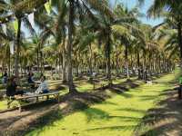Relaxing at Coconut market at Chiang Mai
