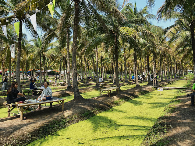 Relaxing at Coconut market at Chiang Mai