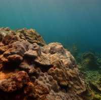 Discover Scuba Dive at Phi Phi Island 