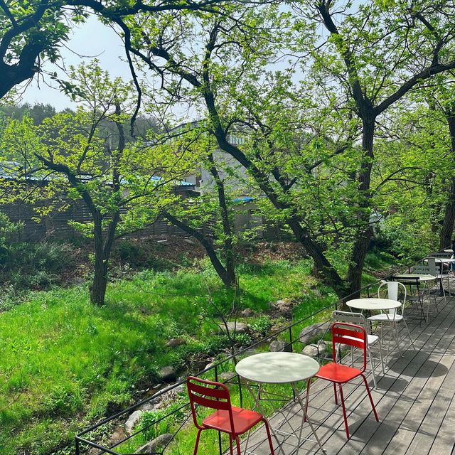 강릉의 핫플카페 테라로사