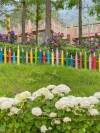 진주 월아산 숲속의 숨은 수국 스팟🍃💜🩵