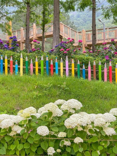 진주 월아산 숲속의 숨은 수국 스팟🍃💜🩵