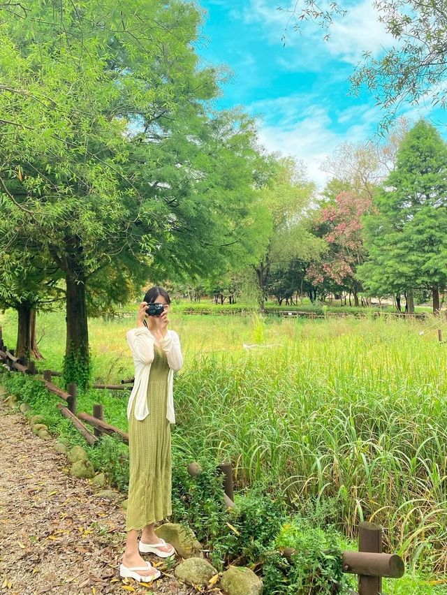 동화 속 인지 현실인지 너무 아름다운 ‘전주 수목원’🌲