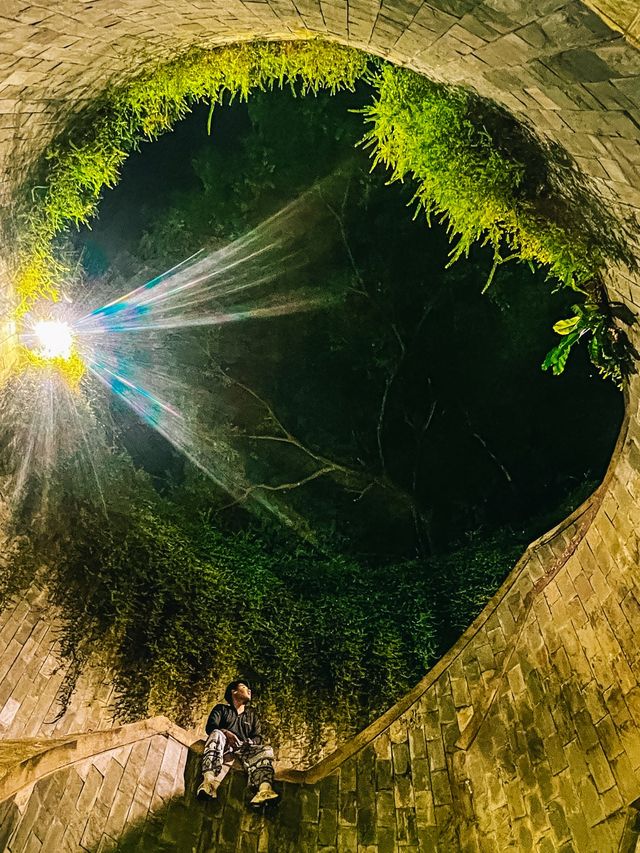 จุดถ่ายรูปยอดฮิต ปักหมุด Fort Canning Tree Tunnel