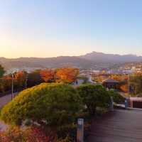단풍지는 🌳낙산공원 성곽길 🌳에서 없는 감수성도 끌어올려~