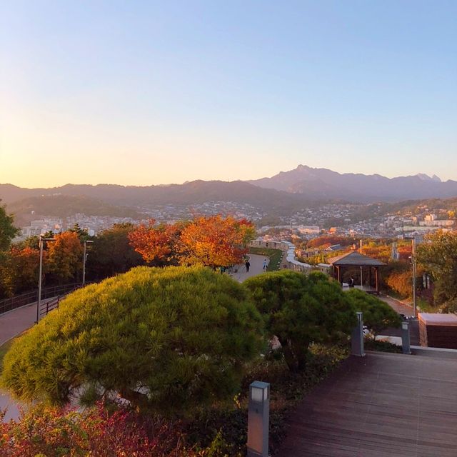 단풍지는 🌳낙산공원 성곽길 🌳에서 없는 감수성도 끌어올려~