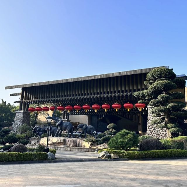 奇妙動物之旅：狂野廣州長隆酒店！🦁🏨