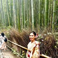 Walk around the bamboo grove with kimono 👘 