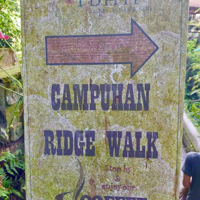 Campuhan Ridge Walk