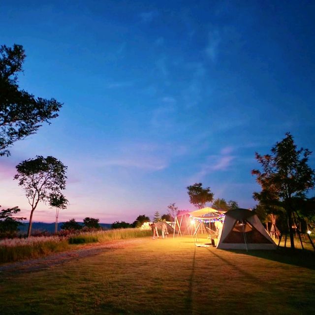 ลานกางเต็นท์​วิวสวย