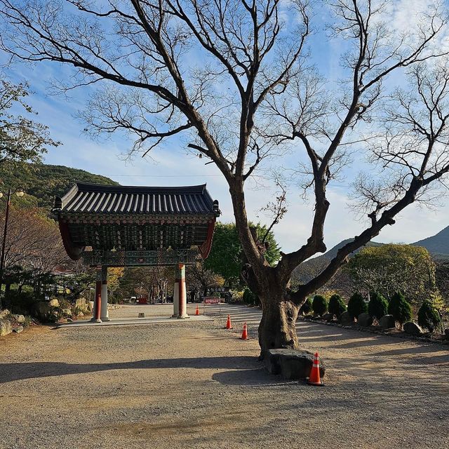 The Beauty of Bogyeongsa Temple 