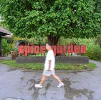 Spice House Chiangmai-สไปซ์ เฮาส์ เชียงใหม่ 