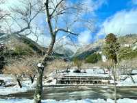 Biwako Valley โอซาก้าก็มีลานสกีนะ รู้ยัง?
