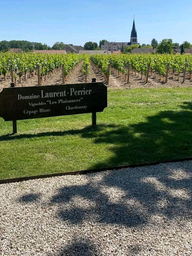 泿漫酒莊遊-法國香檳區 Laurent-Perrier