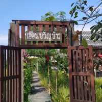 📍“เฮือนขวัญข้าว“ ที่พักริมนา ราคาสบายกระเป๋า