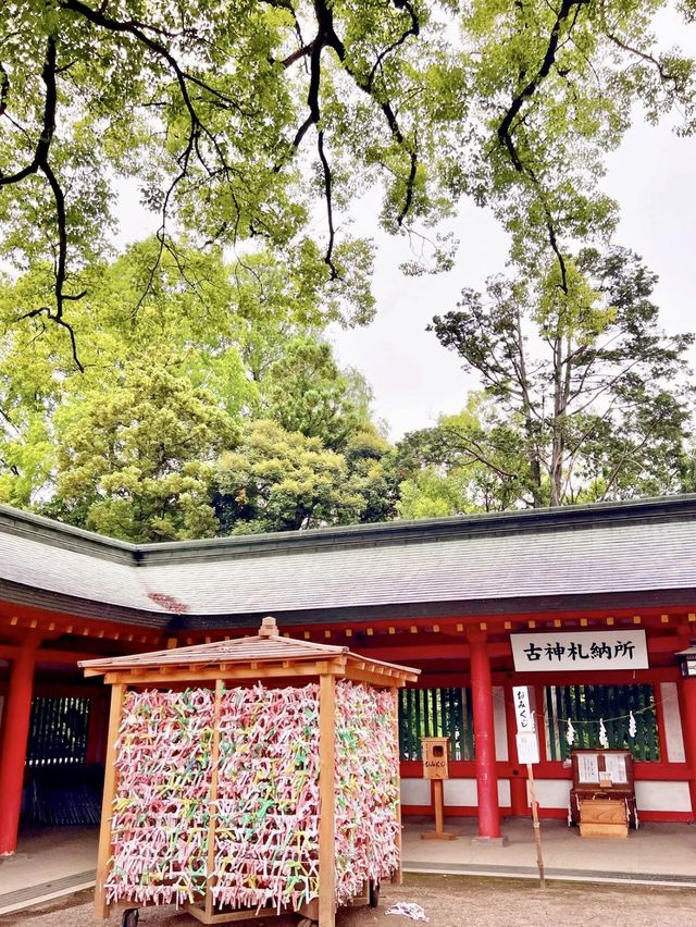 【埼玉】武蔵一宮氷川神社⛩