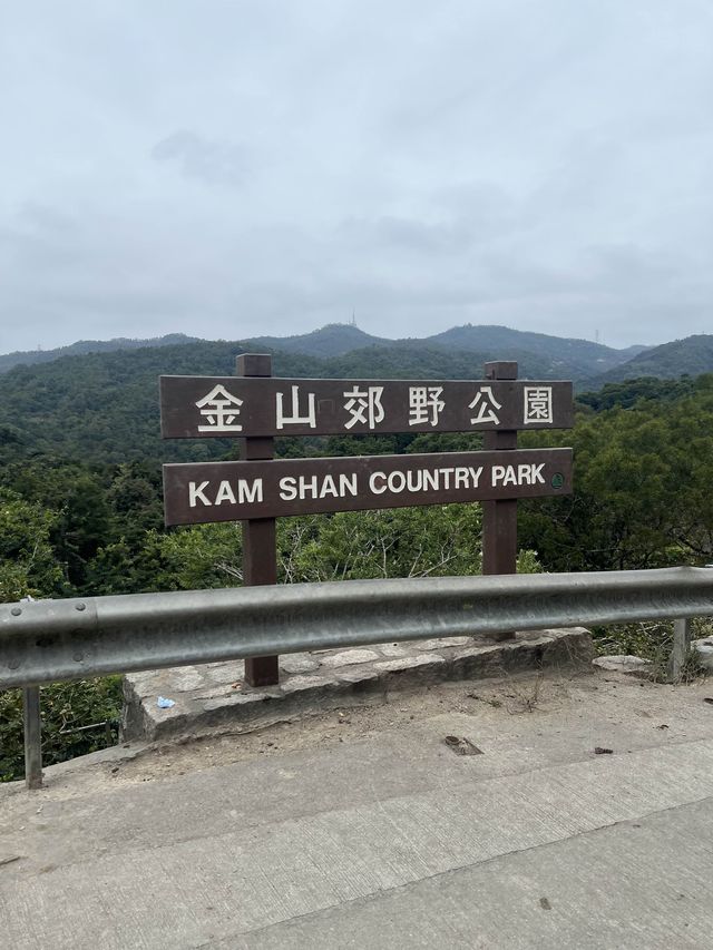 名不虛傳既馬騮山