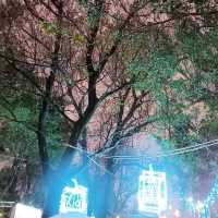 2023光源台北燈會-沿途街景裝飾