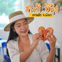 สามสี ซีฟู๊ด-บางม่วง 