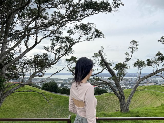 紐西蘭奧克蘭最高火山｜Mount Eden伊甸山，眺望奧克蘭市景最佳地點