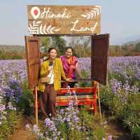 Hinoki Land ฮิโนกิแลนด์ เชียงใหม่