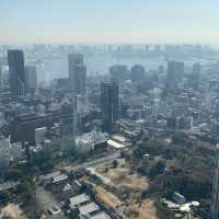 Tokyo tower Stunning views