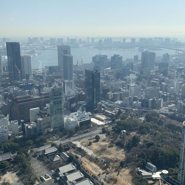 Tokyo tower Stunning views