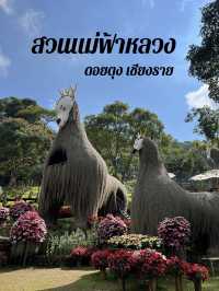 สวนดอกไม้สวยๆ ชมความงดงามบนยอดดอย