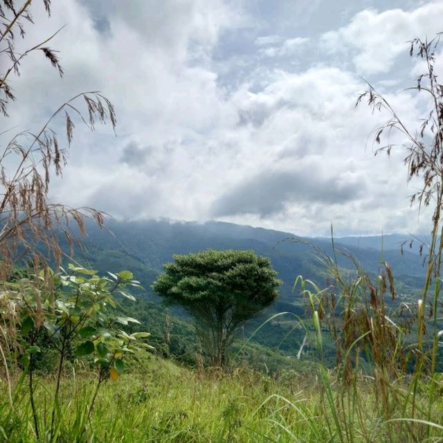 Broga Hill 