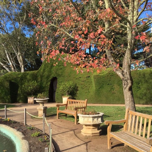 Beautiful garden with hedge maze