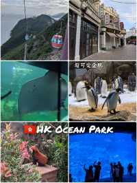 刺激機動遊戲🎢超可愛企鵝🐧香港海洋公園