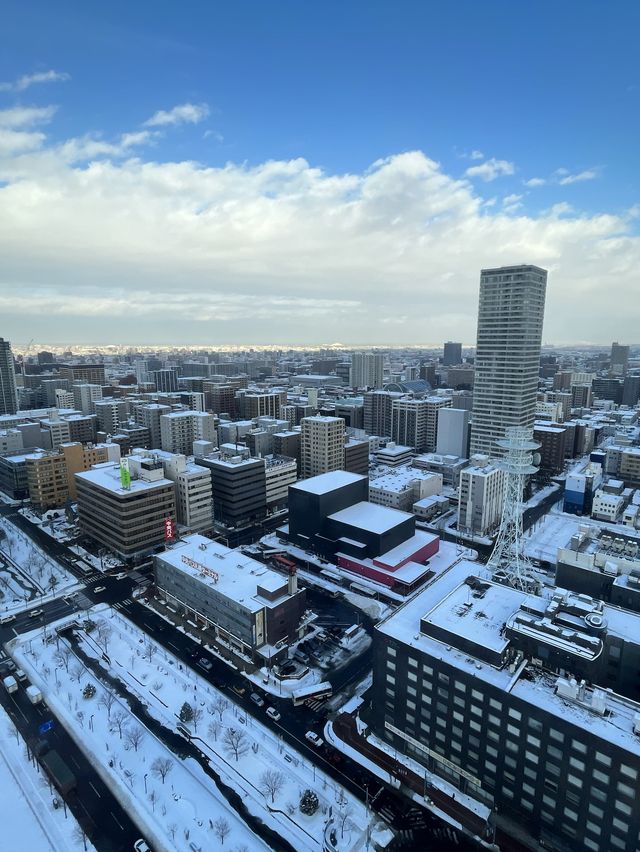 電視塔下的雪國❄️