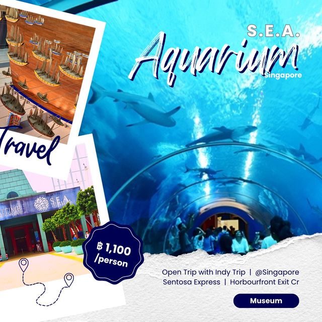 🐡South East Asia Aquarium