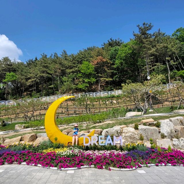 꽃이 가득한 정원으로 탈바꿈한 교동 화개정원🌺
